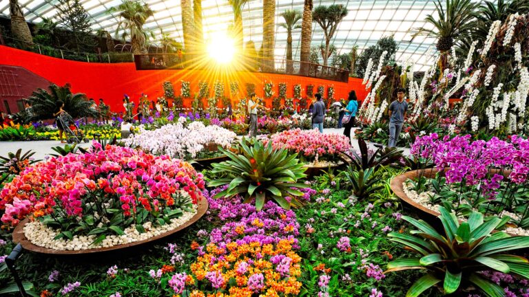 flower-dome-main